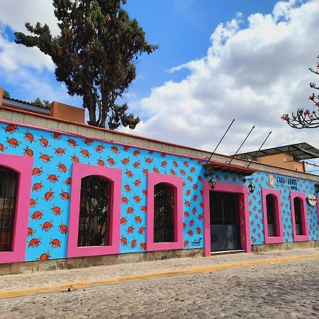 Hotel Casa Arnel Oaxaca Esterno foto