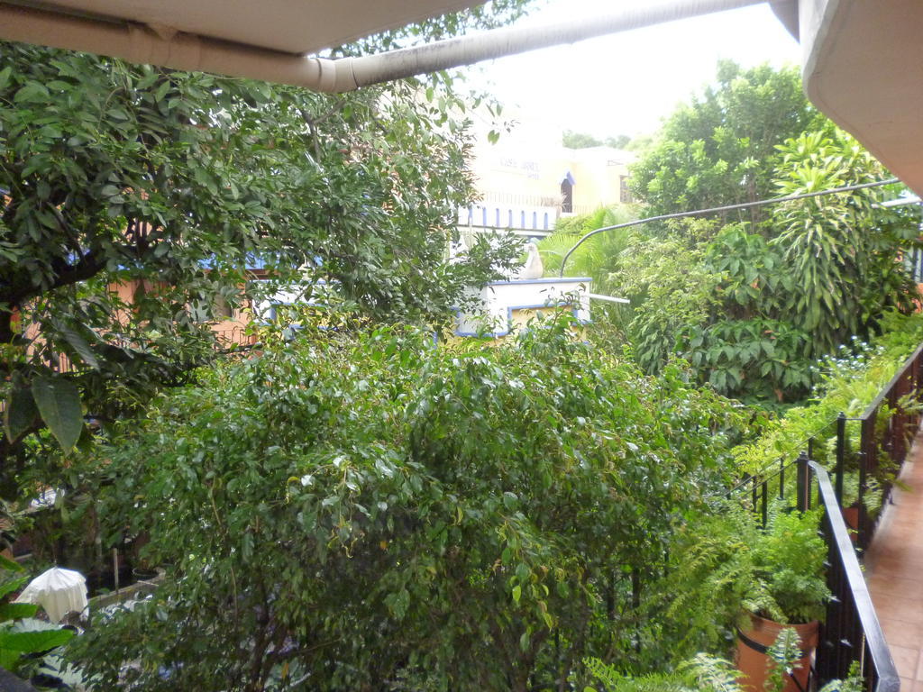Hotel Casa Arnel Oaxaca Esterno foto