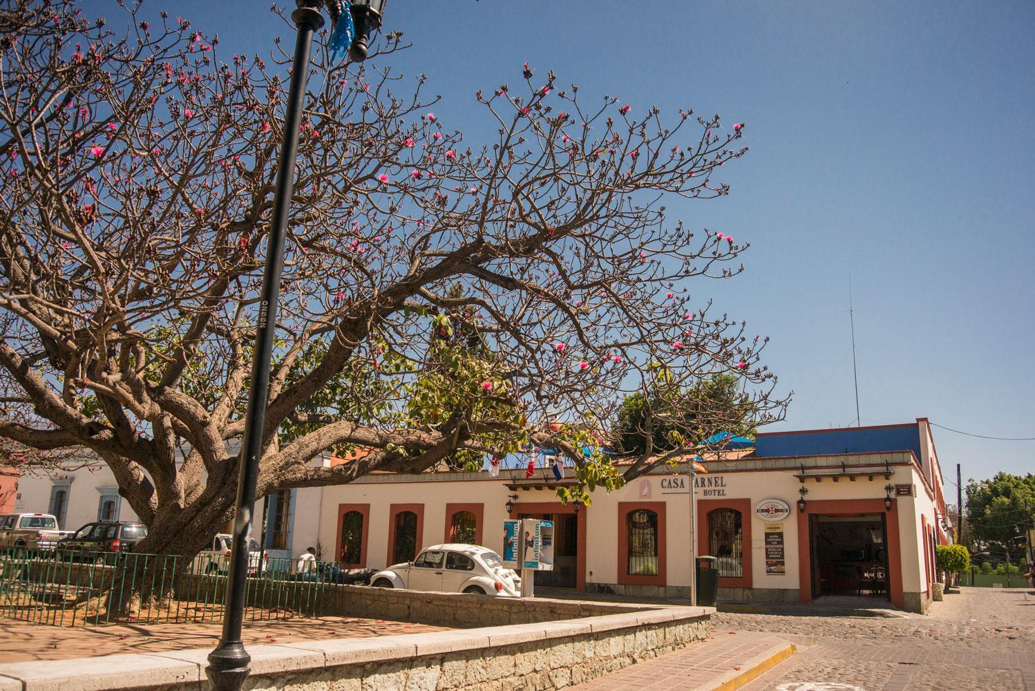 Hotel Casa Arnel Oaxaca Esterno foto